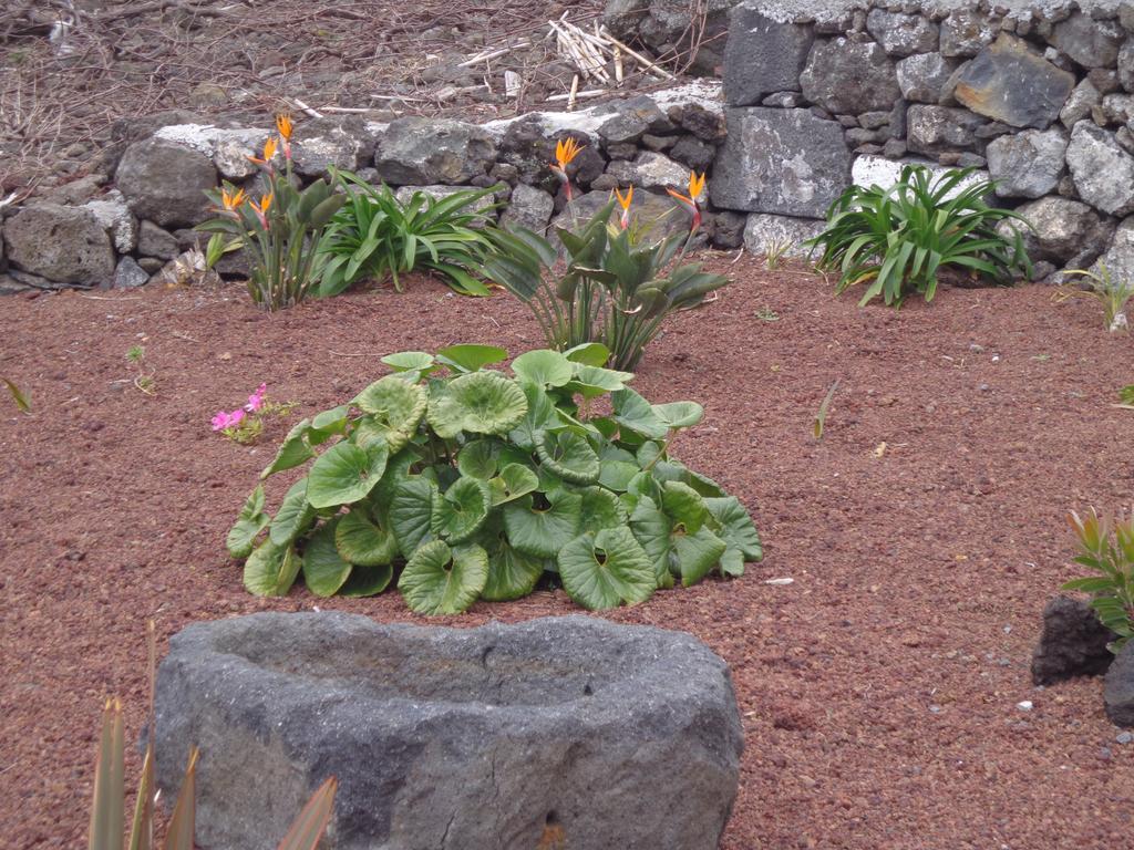Appartamento Casa da Vigia Calheta de Nesquim Esterno foto